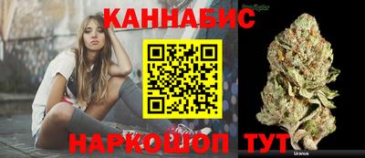 стафф Будённовск