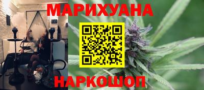 сатива Камышлов