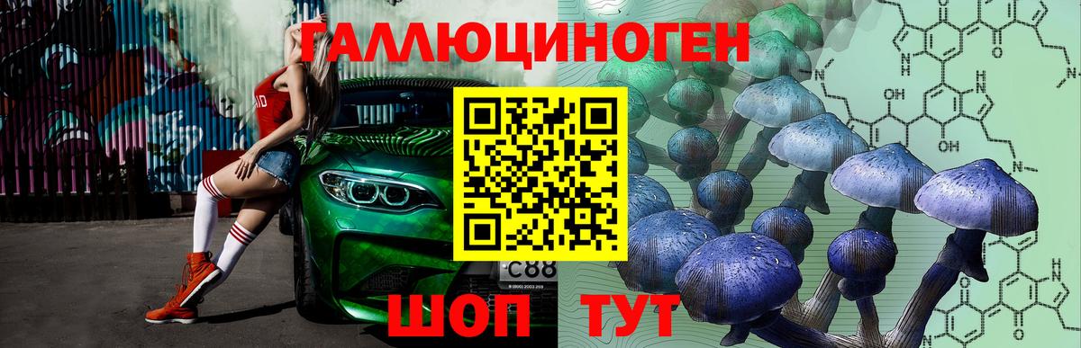 Псилоцибиновые грибы ЛСД  Псилоцибиновые грибы GOLDEN TEACHER  Вход с VPN  Новокуйбышевск 